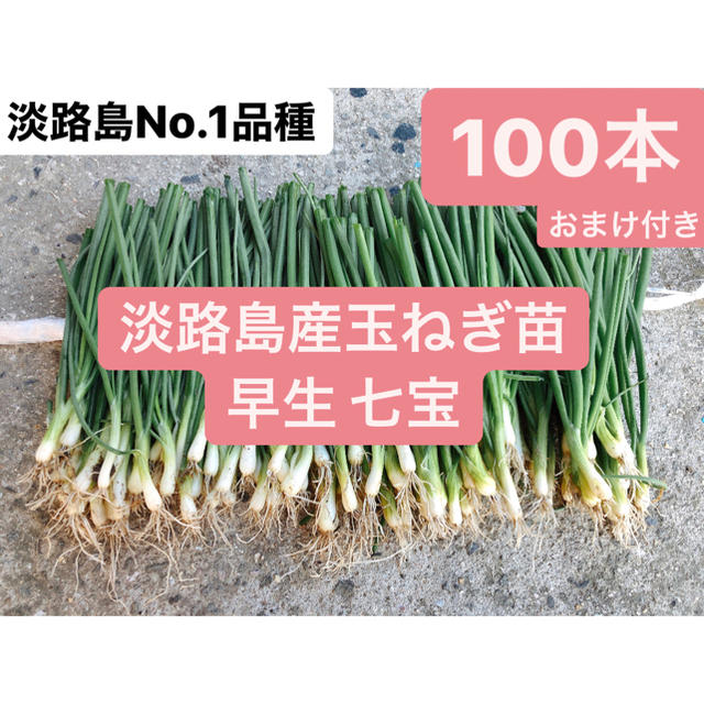 淡路島産玉ねぎ苗七宝早生100本おまけ付き送料無料 食品/飲料/酒の食品(野菜)の商品写真