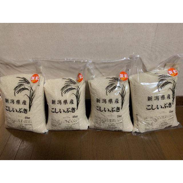 rikuさん専用【精米】令和2年産 新潟産 こしいぶき 20kg(5kg×4）
