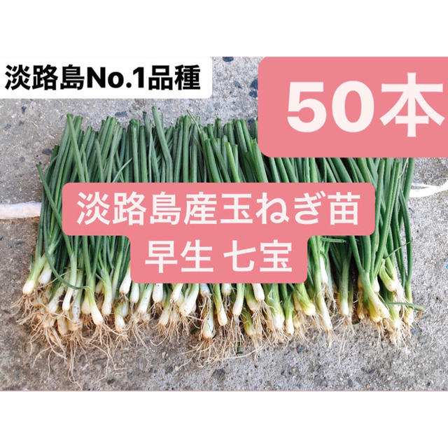 淡路島産玉ねぎ苗50本送料無料の通販 by RH｜ラクマ