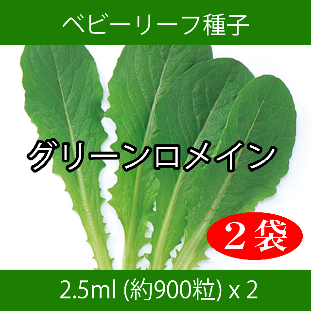 ベビーリーフ種子 B-05 グリーンロメイン 2.5ml 約900粒 x 2袋 食品/飲料/酒の食品(野菜)の商品写真