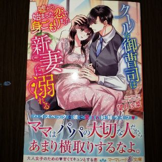 クールな御曹司は新妻に溺れる 嘘から始まった恋で身ごもりました(文学/小説)