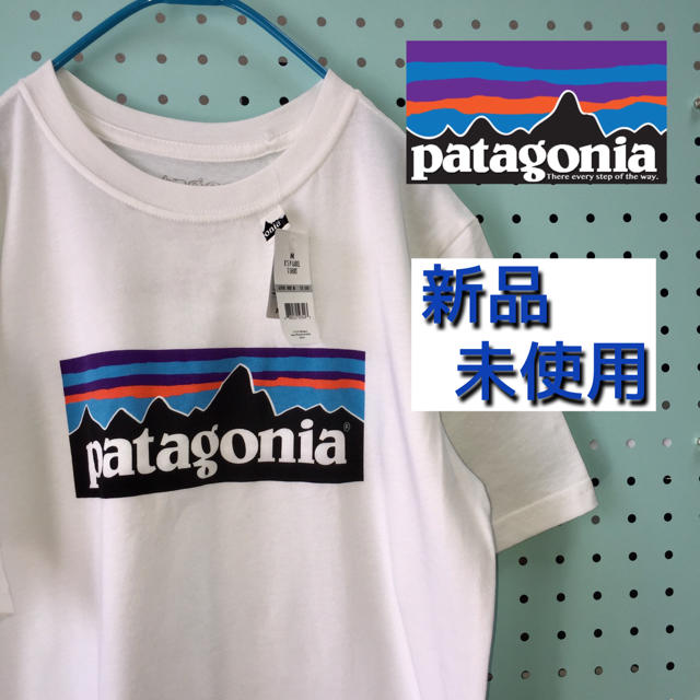 新品 未使用品  Patagonia  パタゴニア  半袖Tシャツ