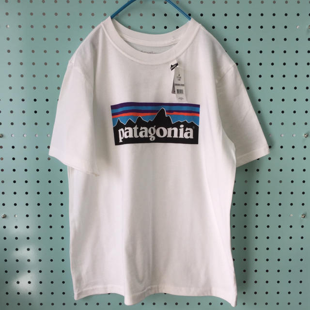 新品 未使用品  Patagonia  パタゴニア  半袖Tシャツ