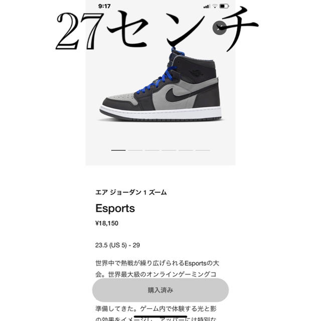 ナイキ エアジョーダン1 ズーム 27センチ NIKE snkr購入品 - スニーカー