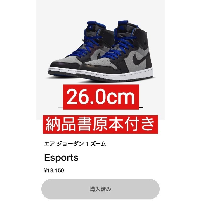 Nike Air Jordan 1 Zoom Eスポーツ