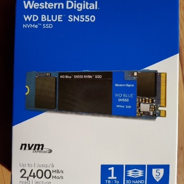 WD Blue SN550 NVMe WDS100T2B0C