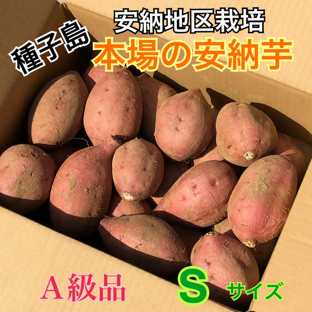 本場！安納産安納芋　S  ２kg  Ａ級品 食品/飲料/酒の食品(野菜)の商品写真