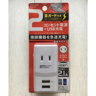 ☆マスカット様☆2コンセント電源+2USB電源(その他)