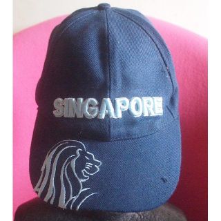 送料無料♪オシャレなデザインの美品スナップバックCAP(キャップ)!!(キャップ)