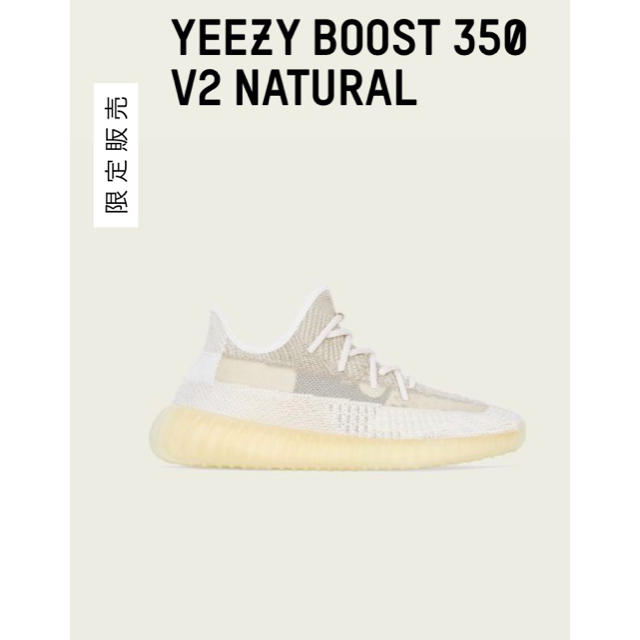 限定価格！ADIDAS YEEZY BOOST 350 V2