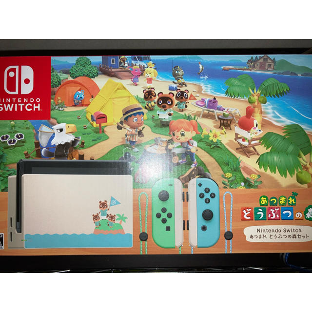 NintendoSwitch あつまれどうぶつの森セット　ソフトなし