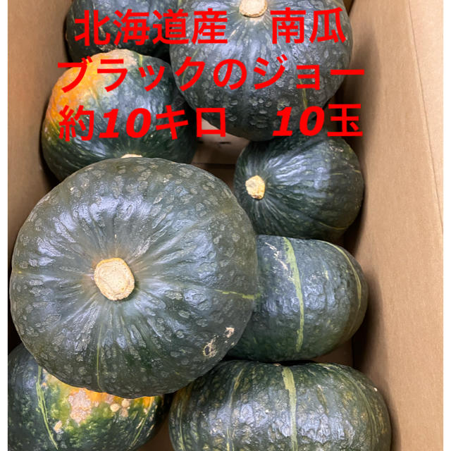 北海道産南瓜　ブラックのジョー 食品/飲料/酒の食品(野菜)の商品写真