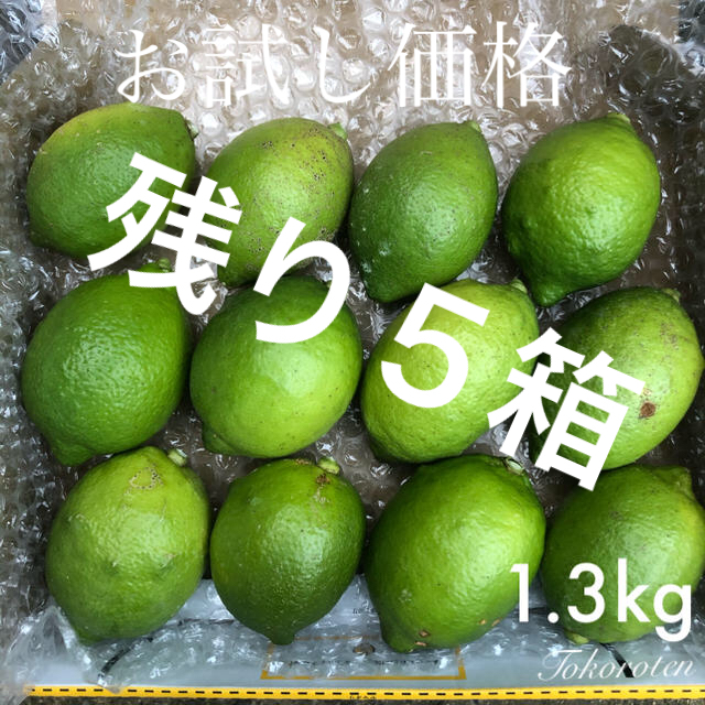 『本日限定‼︎』山口県産　レモン　1.3kg 食品/飲料/酒の食品(フルーツ)の商品写真