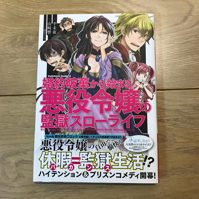 婚約破棄から始まる悪役令嬢の監獄スローライフ なろう