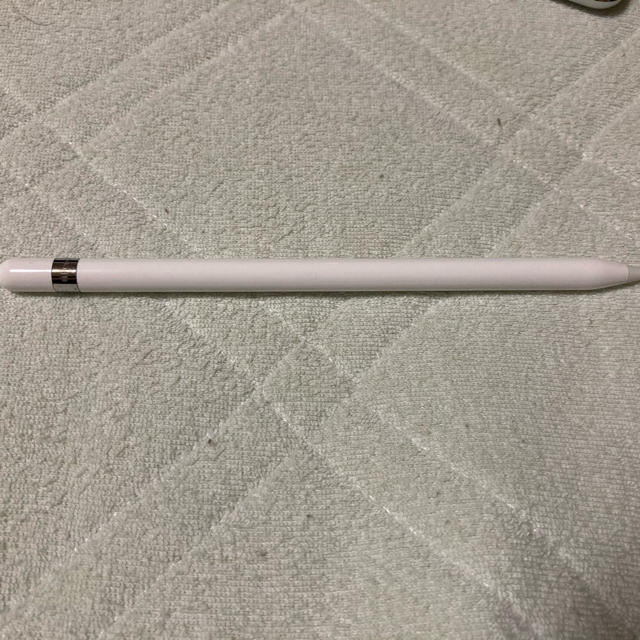 iPad Pro 10.5インチ Apple Pencil セット　オマケ有り
