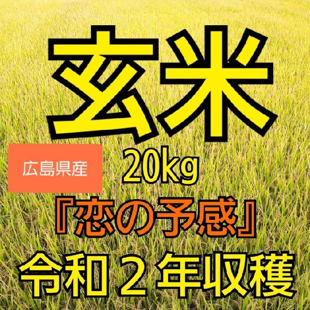玄米 20kg (令和2年収穫)『恋の予感』広島県産