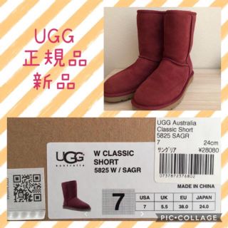 アグ(UGG)の未使用　UGG ブーツ　24cm(ブーツ)