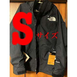 ザノースフェイス(THE NORTH FACE)のThe North Face Mountain Light  Jacket(マウンテンパーカー)