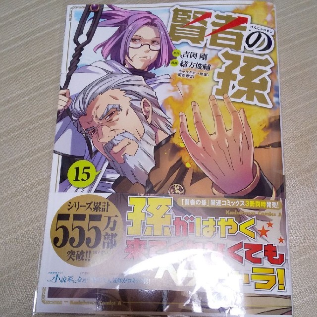 角川書店 賢者の孫 15の通販 By ハムちゃん S Shop カドカワショテンならラクマ 角川書店 賢者の孫 15の通販 By ハムちゃん S Shop カドカワショテンならラクマ