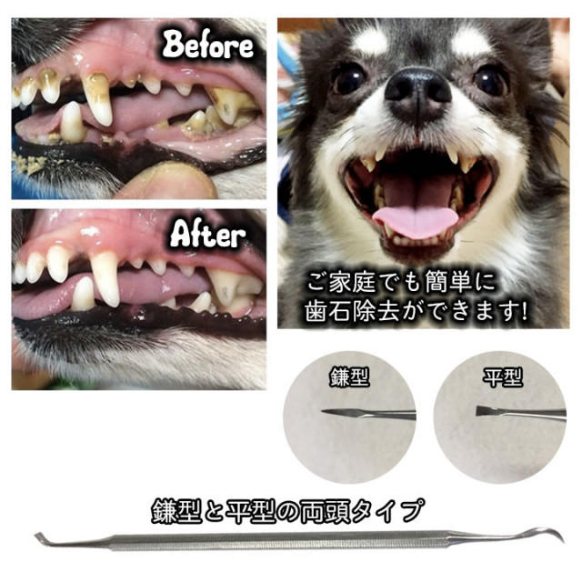 大人気! 歯石取り 犬 猫 ペット用 スケーラー 歯石除去 歯磨き 虫歯予防 器具