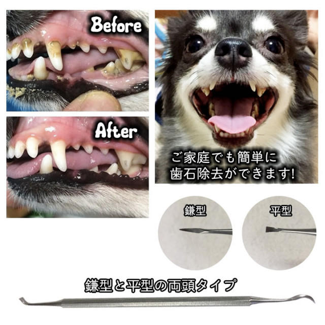全国宅配無料 愛犬(猫)用スケーラー 歯石除去用品 口臭予防