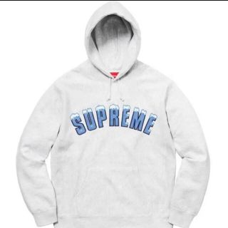 シュプリーム(Supreme)のsupream Icy Arc Hooded Sweatshirt サイズS(パーカー)