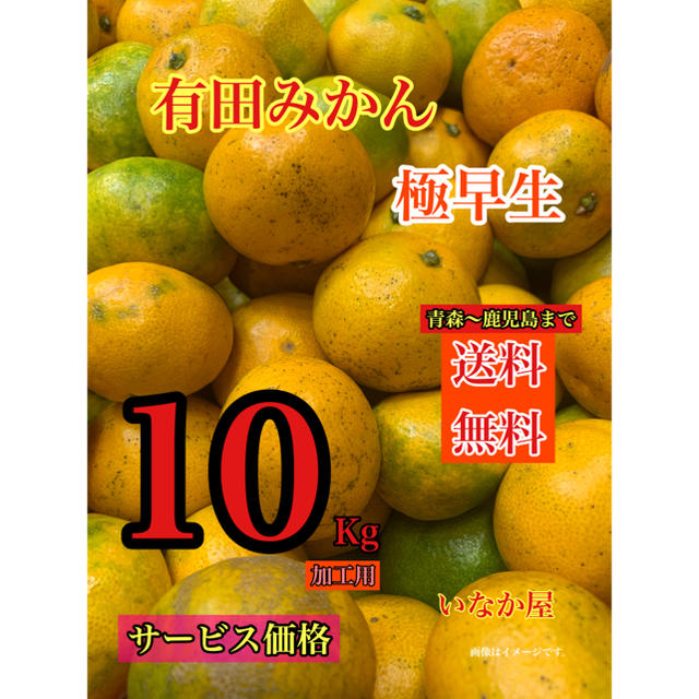 有田みかん　加工用　セール  特価価格　早い者勝ち　残り1点 食品/飲料/酒の食品(フルーツ)の商品写真