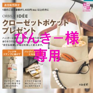 イデー(IDEE)のIDEEのクローゼットポケット(押し入れ収納/ハンガー)