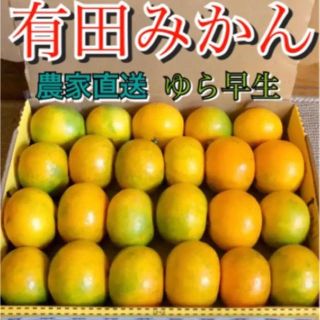 和歌山有田みかん　ゆら早生コンパクト(フルーツ)