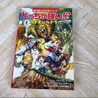 どっちが強い!?ライオンVS(たい)トラ 陸の最強王者バトル(絵本/児童書)