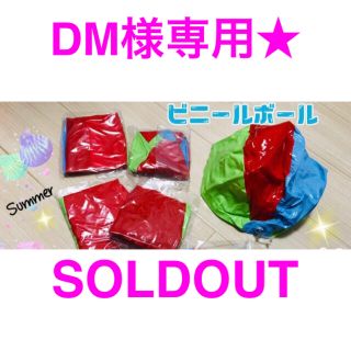 DM様専用★ビニールボール　5個セット(その他)