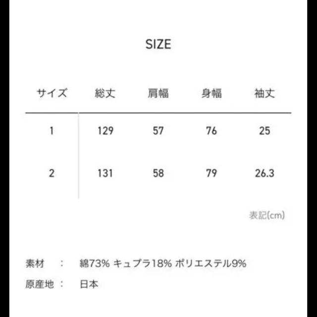 STUDIOUS(ステュディオス)のclane シースルーチェックアームワンピース  レディースのワンピース(ロングワンピース/マキシワンピース)の商品写真