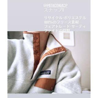 パタゴニア(patagonia)のロンハーマン 根岸さん着用　パタゴニア　シンチラ(トレーナー/スウェット)