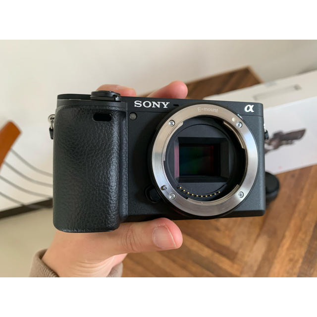 SONY(ソニー)の【美品】α6400+Sigma 16mm f1.4 単焦点　+Weebill S スマホ/家電/カメラのカメラ(ミラーレス一眼)の商品写真