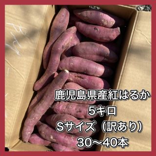 鹿児島県産　紅はるか　さつまいも　5キロ　即購入OK！(野菜)