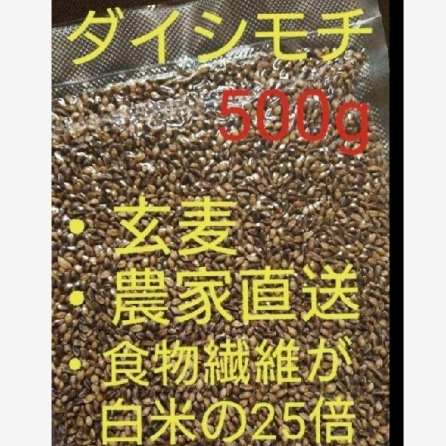 ダイシモチ 玄麦 食品/飲料/酒の食品(米/穀物)の商品写真