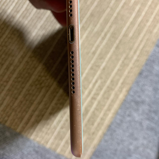 iPad mini5 64GB au Cellularモデル　おまけ付き 2