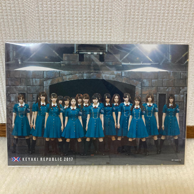 欅坂46(けやき坂46)(ケヤキザカフォーティーシックス)の欅共和国2017（初回生産限定盤） Blu-ray エンタメ/ホビーのDVD/ブルーレイ(ミュージック)の商品写真