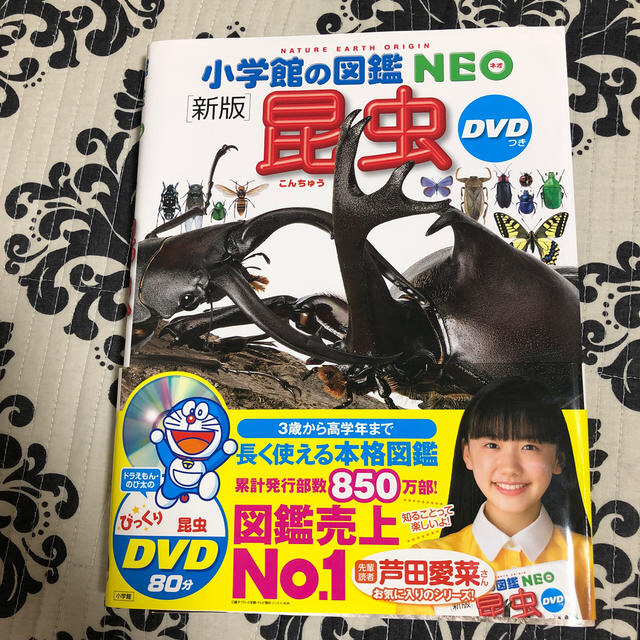 小学館(ショウガクカン)の小学館図鑑NEO 昆虫 新版 エンタメ/ホビーの本(絵本/児童書)の商品写真