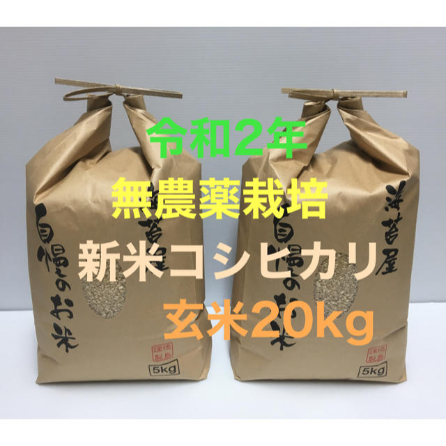 令和2年 無農薬栽培◆新米コシヒカリ玄米20kg(5kg×4)徳島県産米/穀物