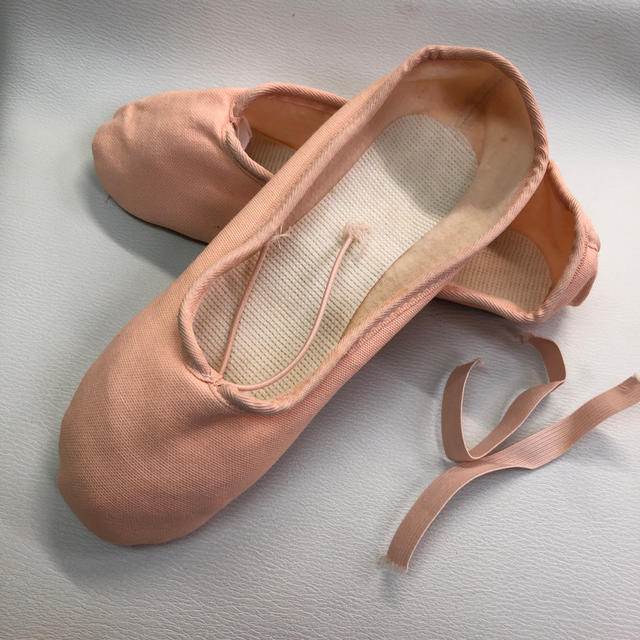 repetto(レペット)のrepetto バレエシューズ 39.5 26センチ目安 スポーツ/アウトドアのスポーツ/アウトドア その他(ダンス/バレエ)の商品写真