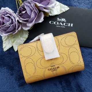 コーチ(COACH)の新作　新品　COACH折り財布　シグネチャードット　イエロー(財布)