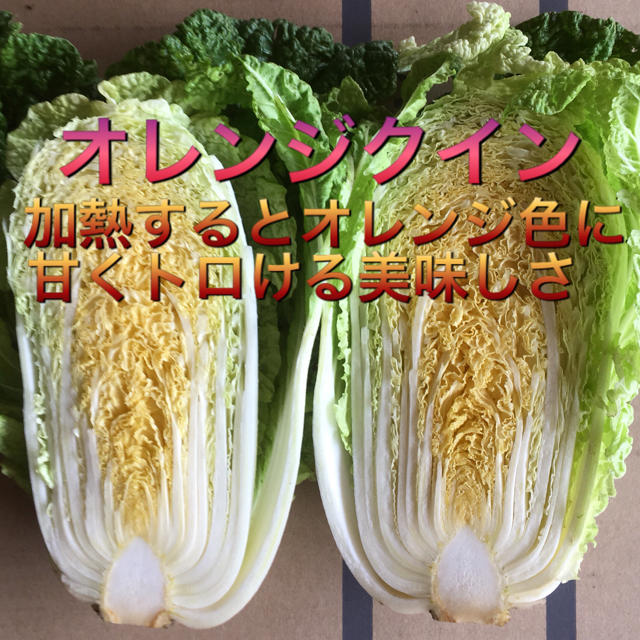 野菜BOX Sサイズ 食品/飲料/酒の食品(野菜)の商品写真