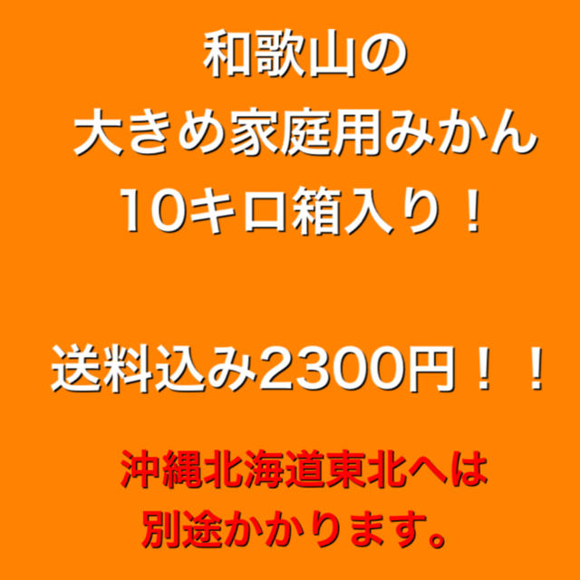 大きめ！和歌山の家庭用みかん10キロ箱入り！沖縄北海道東北は別途 食品/飲料/酒の食品(フルーツ)の商品写真