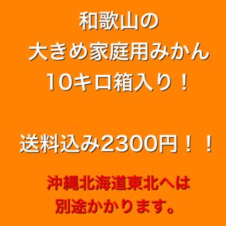 大きめ！和歌山の家庭用みかん10キロ箱入り！沖縄北海道東北は別途(フルーツ)