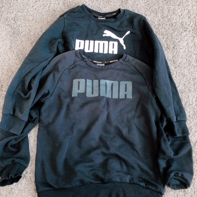 PUMA(プーマ)のPuma トレーナー 140 キッズ/ベビー/マタニティのキッズ服男の子用(90cm~)(Tシャツ/カットソー)の商品写真