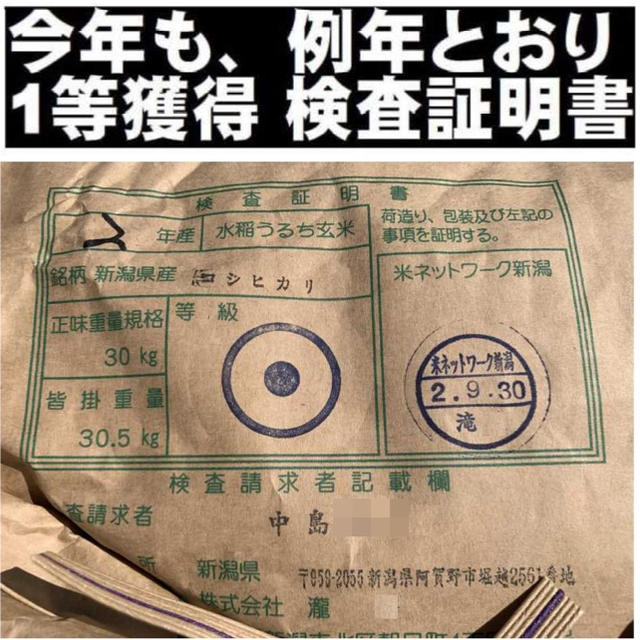 新米•令和2年産新潟コシヒカリ小分け3袋 農家直送玄米25㌔