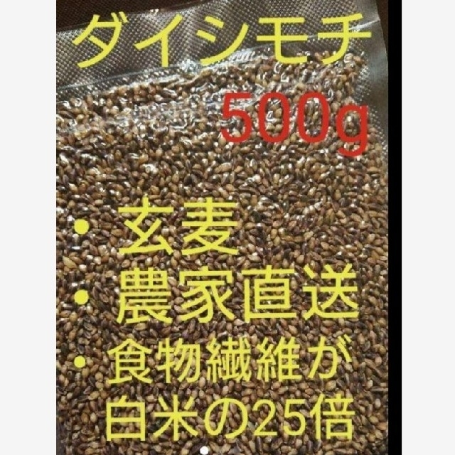 ダイシモチ 玄麦 食品/飲料/酒の食品(米/穀物)の商品写真