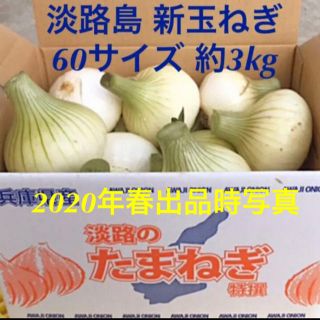 超極早生玉葱苗約2000本 - 野菜