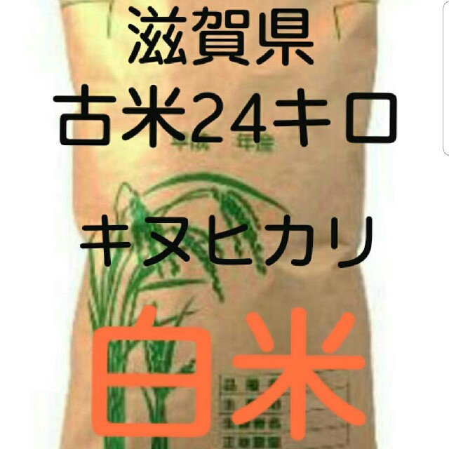 滋賀県　古米令和元年　キヌヒカリ白米24キロ